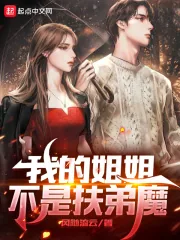 《我的姐姐不是扶弟魔》小说封面