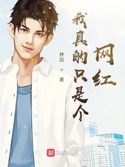 《我真的只是个网红》小说封面