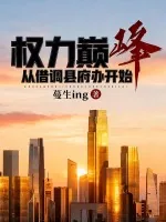 《权力巅峰,从借调县府办开始》小说封面