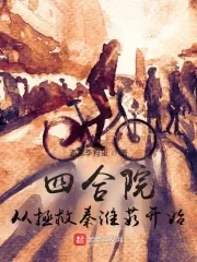 《四合院：从拯救秦淮茹开始》小说封面