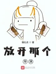 《放开那个导演》小说封面