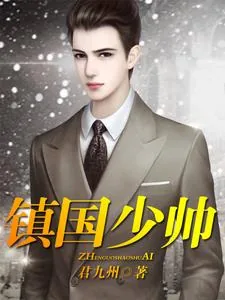 《镇国少帅》小说封面