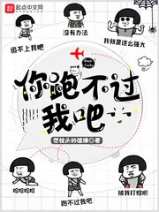 《你跑不过我吧》小说封面