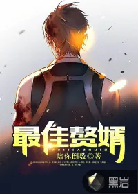 《最佳赘婿》小说封面