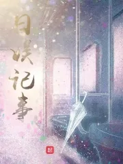 《日娱记事》小说封面