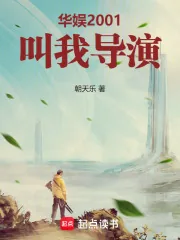 《华娱2001:叫我导演!》小说封面