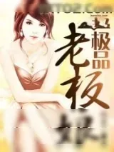《极品老板娘》小说封面