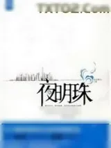 《夜明珠》小说封面