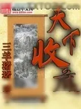 《天下收藏》小说封面