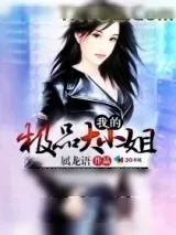 《我的极品大小姐》小说封面
