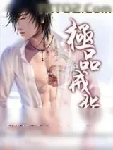 《极品戒指》小说封面