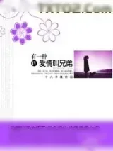 《有一种爱情叫兄弟》小说封面