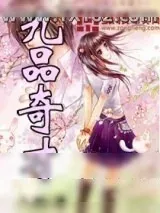 《九品奇才》小说封面
