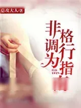 《非格调行为指南》小说封面
