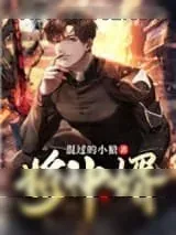 《将神婿》小说封面
