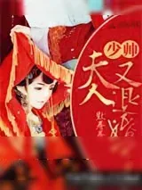 《报告,夫人又退婚了》小说封面