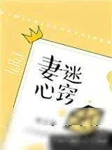 《妻迷心窍》小说封面