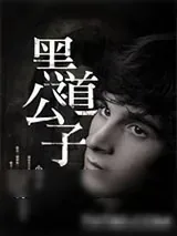 《黑道公子》小说封面