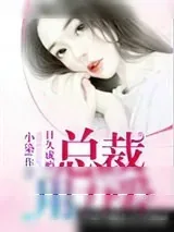 《日久成瘾:总裁,用力爱》小说封面