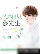 《永远再见，慕先生》小说封面