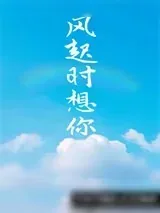 《风起时想你》小说封面