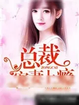 《闪婚蜜爱:总裁宠妻上瘾》小说封面