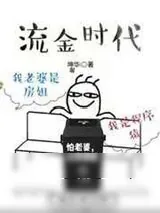 《流金时代》小说封面