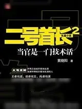 《二号首长2》小说封面