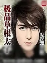 《极品草根太子》小说封面