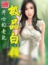 《极品白领》小说封面