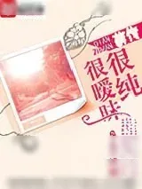 《重生追美记(很纯很暧昧前传)》小说封面