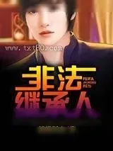 《非法继承人》小说封面