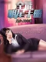 《全能明星手册》小说封面