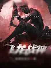 《飞龙战神》小说封面