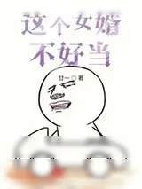 《这个女婿不好当》小说封面