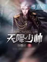 《天降少帅》小说封面