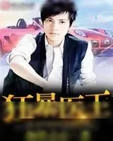 《二十九路银针》小说封面