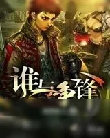 《不良之谁与争锋》小说封面