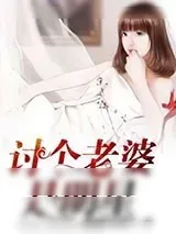 《讨个老婆是明星》小说封面