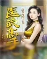 《医武高手》小说封面