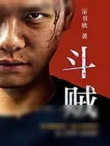 《斗贼》小说封面