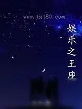 《娱乐之王座》小说封面