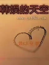 《韩娱的天空》小说封面