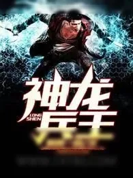 《神龙兵王》小说封面
