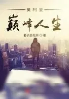 《美利坚巅峰人生》小说封面