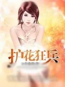 《护花狂兵》小说封面