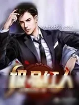 《人到中年:极品红人》小说封面