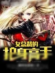 《女总裁的护身高手》小说封面