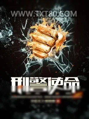 《刑警使命》小说封面