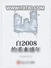 《自2008的重来盛年》小说封面